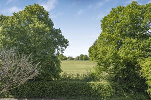 Photo 11- click for photo gallery